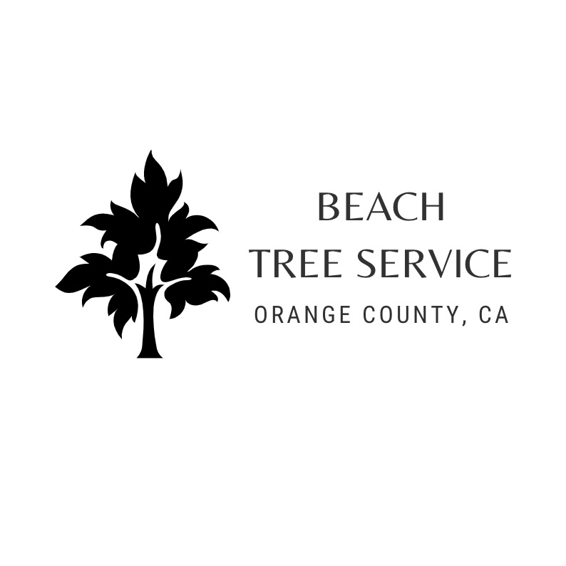 Beach Tree Service